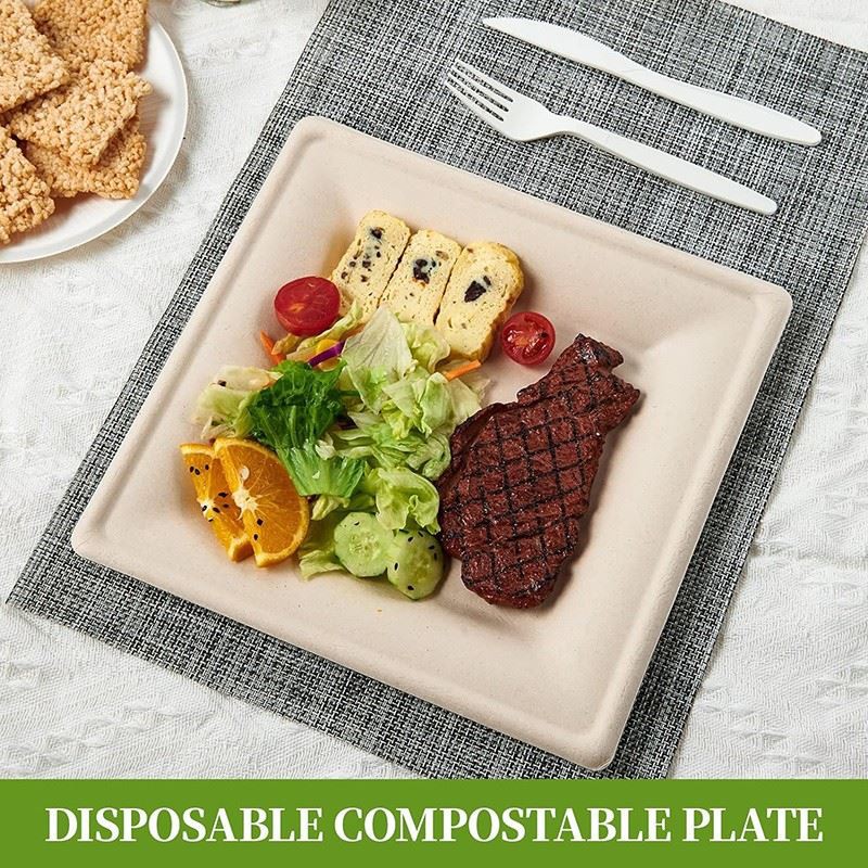 9 inch heavy-duty sugarcane fiber plates